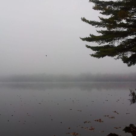 Black Lake Cabins Torrance Buitenkant foto