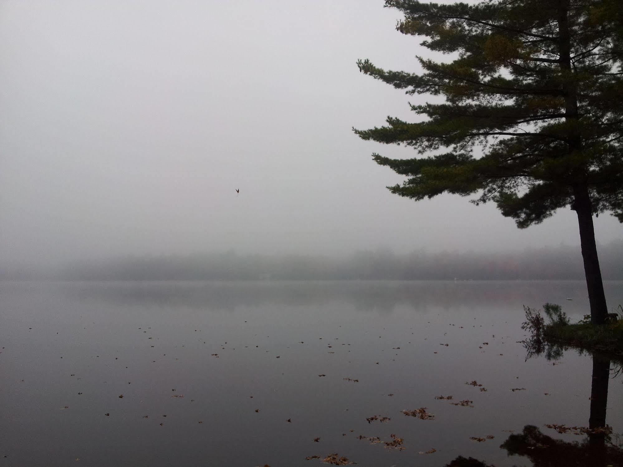 Black Lake Cabins Torrance Buitenkant foto
