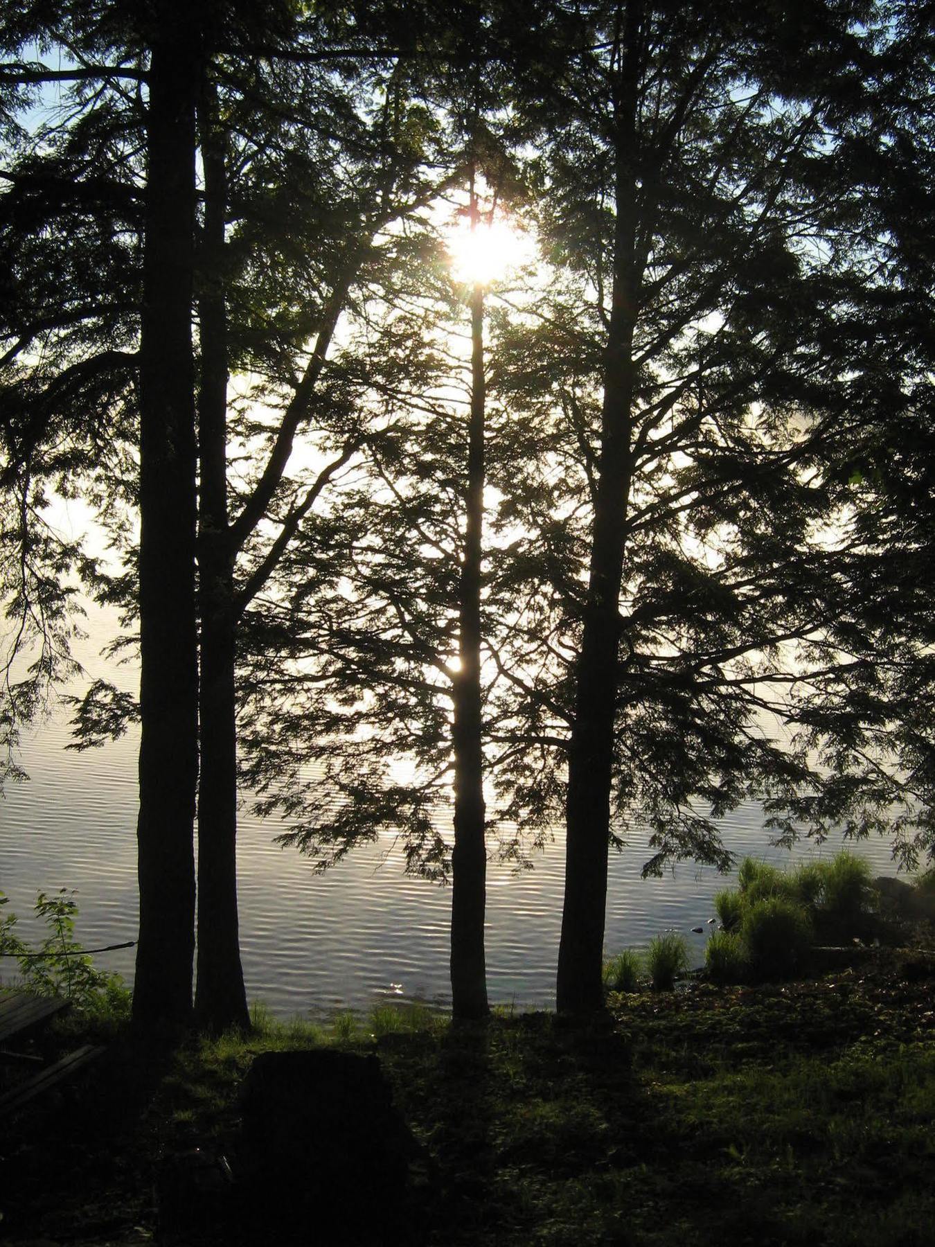 Black Lake Cabins Torrance Buitenkant foto